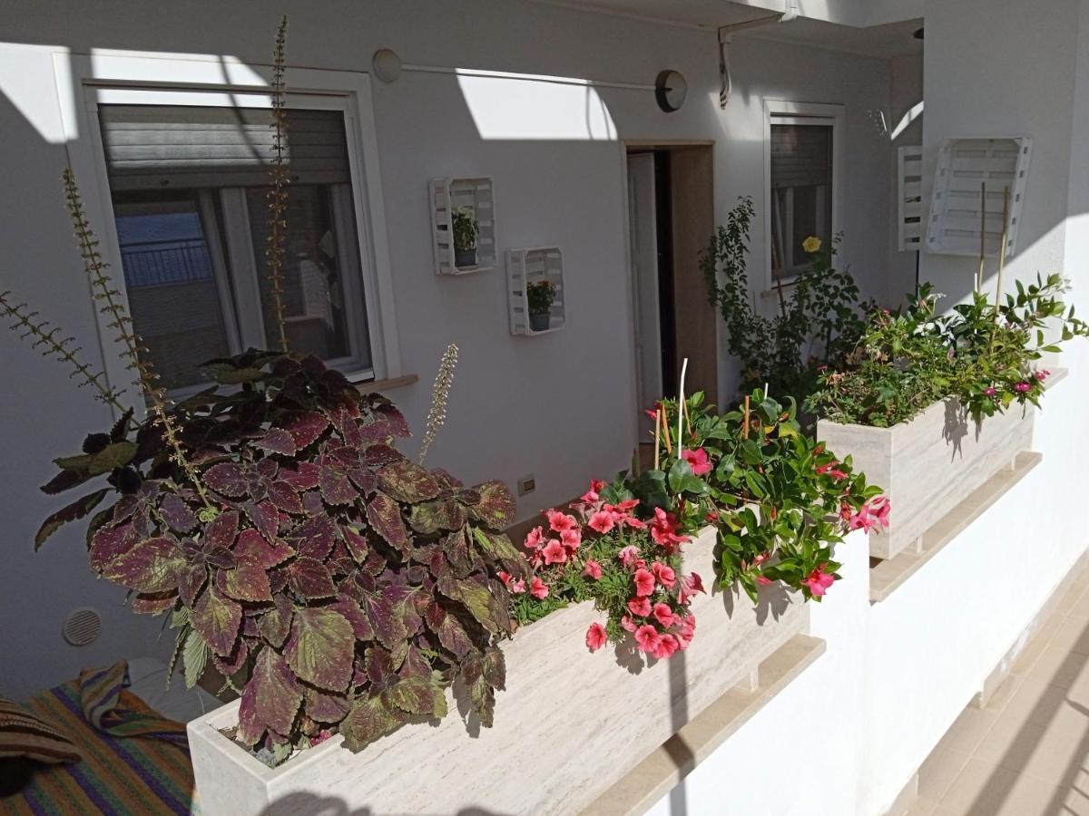 Apartamento La casa di Elena Sannicandro di Bari Exterior foto